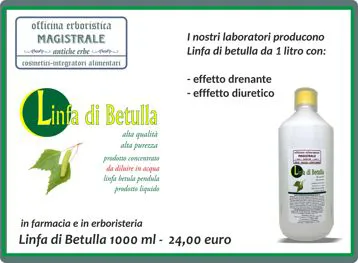 LINFA DI BETULLA  piccola