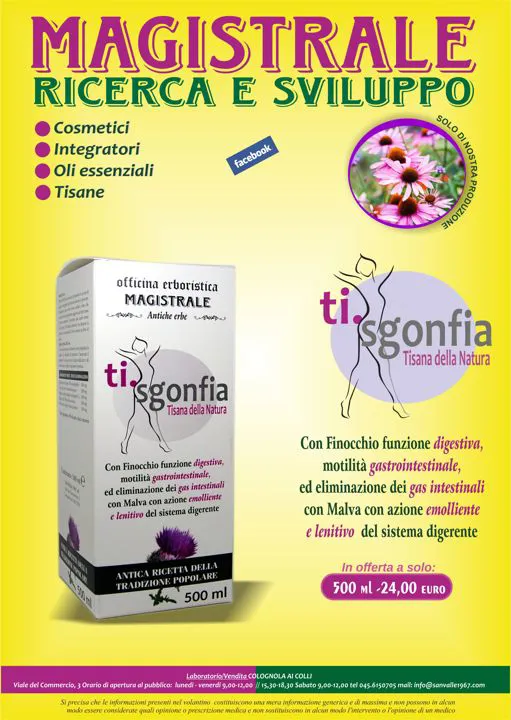 TI.SGONFIA grande