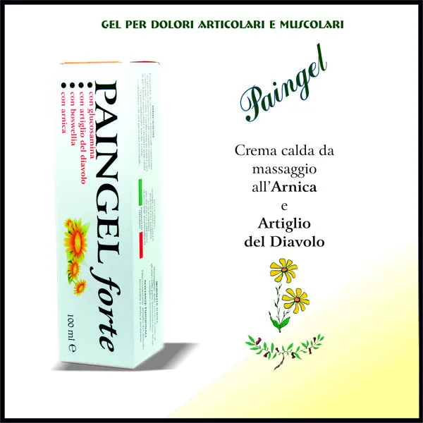 PAINGEL 100 ML FORTE GLUCOSAMINA 