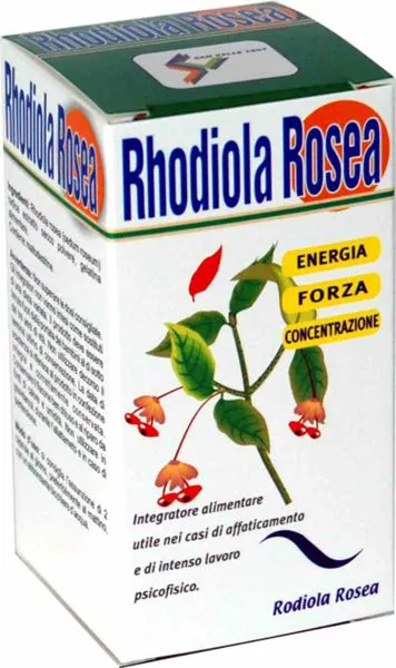 Rhodiola rosea 50 capsule